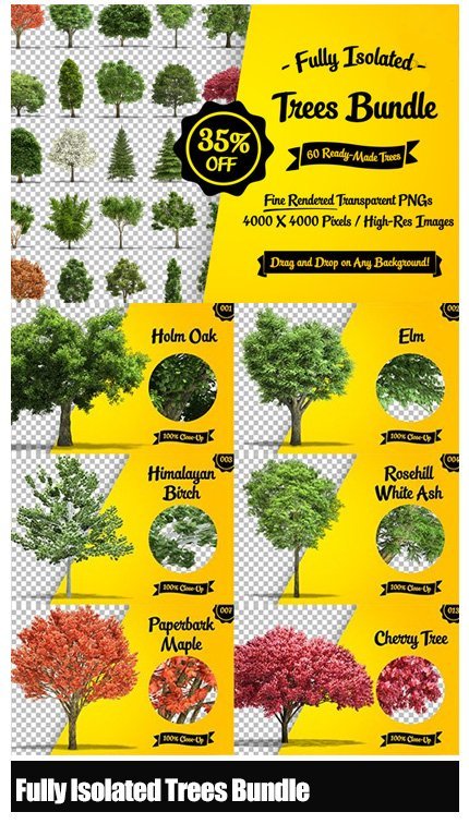 creativemarket.fully.isolated.trees.bundle CreativeMarket Fully Isolated Trees Bundle