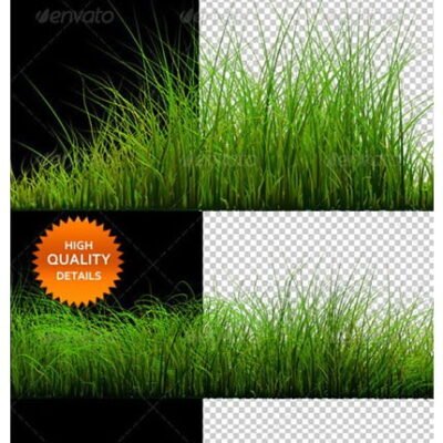 GraphicRiver 6 Isolated Grass Beds