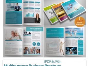 Multipurpose Business Brochure