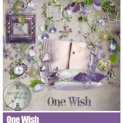 One Wish