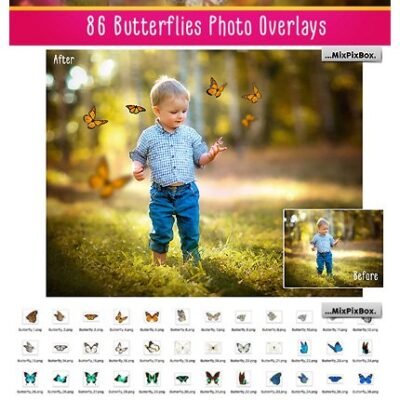 Butterflies Photo Overlays