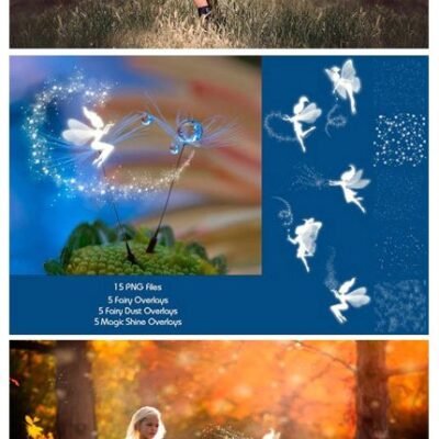 CM Fairy Tale Overlays
