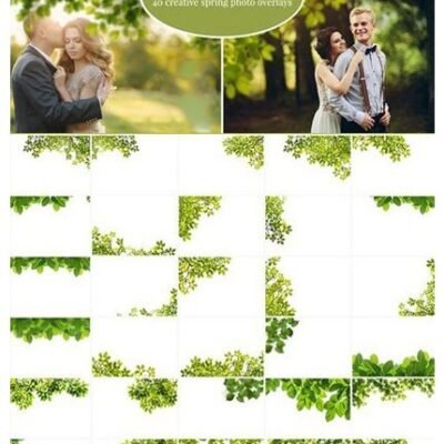 CM Green Branches Photo Overlays
