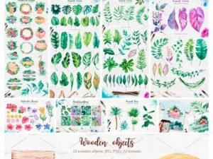 CM Tropical Watercolor Illustrations