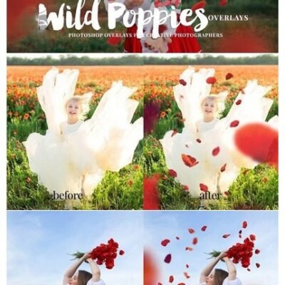 CM Wild Poppies Photo Overlays