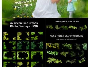 CreativeMarket 42 Green Tree Branch Photo Overlays