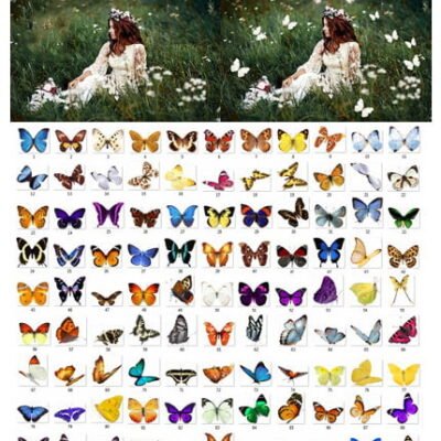 CreativeMarket Butterfly 100 Overlays