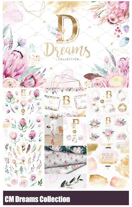 creativemarket.dreams.collection.gold.protea CreativeMarket Dreams Collection Gold protea
