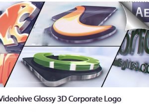 Glossy 3D Corporate Logo