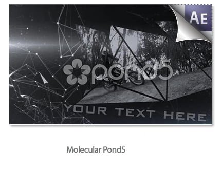 malecular Molecular Project