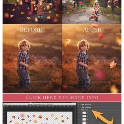 Maple Grove Falling Leaves Overlay