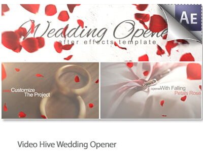 Wedding Opener Videohive