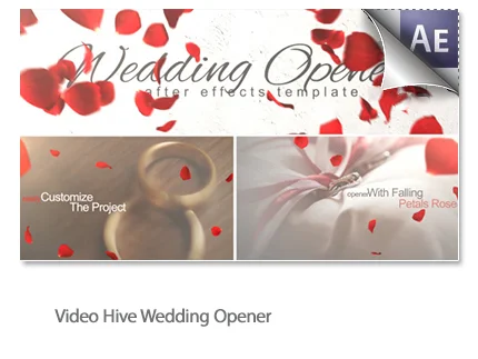 Wedding Opener Videohive