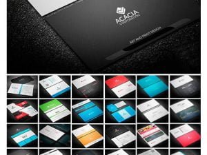 CM 150 Business Cards Bundle