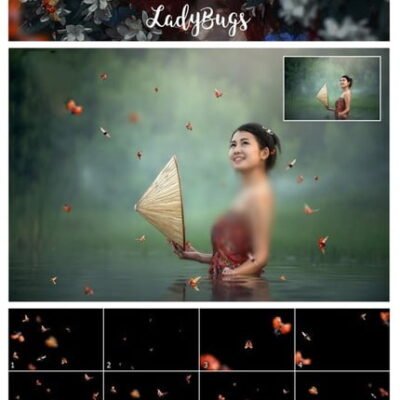 CM 5K Ladybugs Overlays