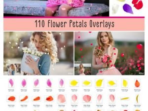 CreativeMarket Flower Petals Photo Overlays