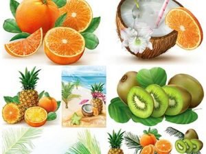 Exotic Fruit Vector