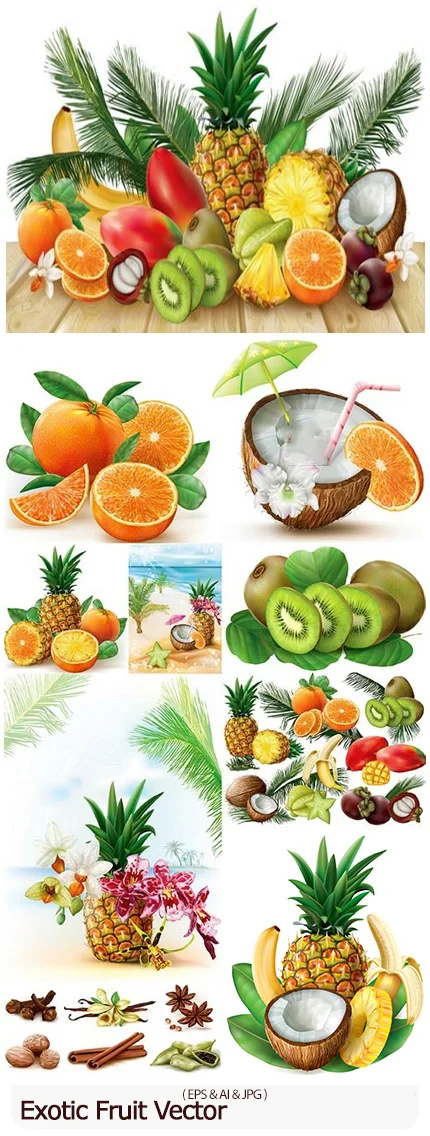 Exotic Fruit Vector