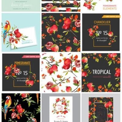 pomegranate tropical background