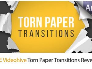 Torn Paper Transitions Reveal Pack AE Templates