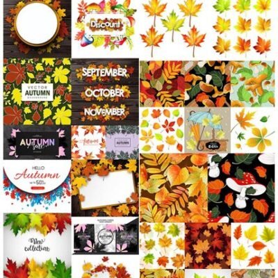 Autumn Leaves And Mushrooms Colourful Background