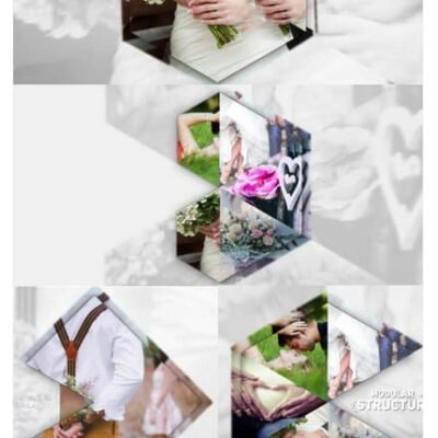 pond5 stylish wedding opener