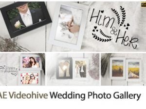 Wedding Photo Gallery