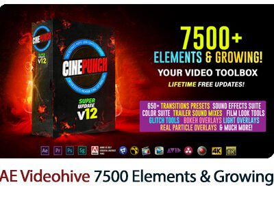 CINEPUNCH V12.75 6000 Elements And Growing