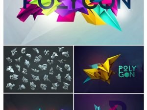 CM 3D Geometric Polygon Renders