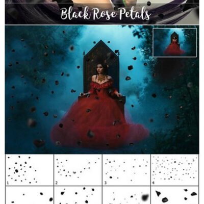 CM 5K Black Rose Petals Overlays