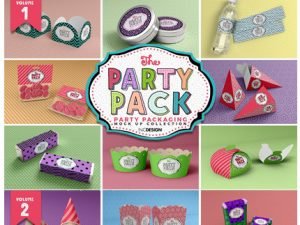 CreativeMarket Bundle Party Packaging Mockups