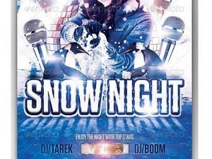 Snow Night Flyer