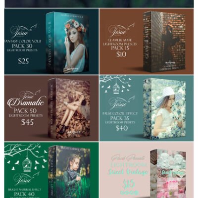 Inkydeals 700 Amazing Lightroom Presets Bundle irtemplate
