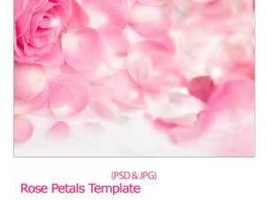 psd rose petals