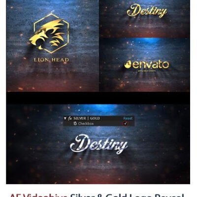 Silver And Gold Logo Reveal