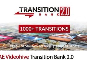 Transition Bank 2.0