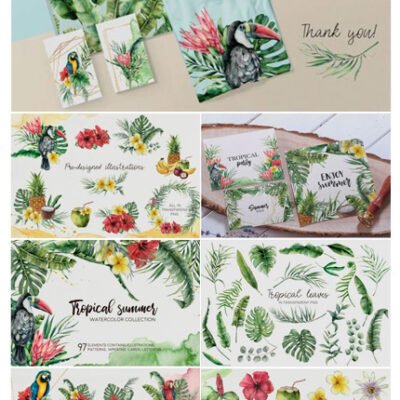 Tropical Summer Watercolor ClipArt