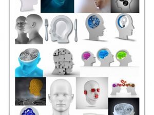 3D Human Head