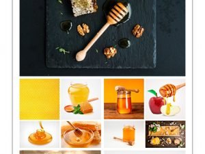 Amazing ShutterStock Honey