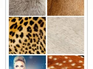 Amazing ShutterStock Natural Furs