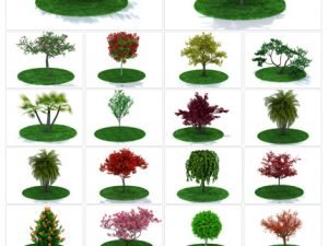 Archmodels Vol 31. 65 Professional Highly Detailed Objects Of Very Realistic Garden Plants