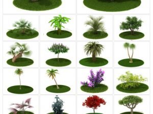 Archmodels Vol 42. 65 Models Of Realistic Plants For Landscaping