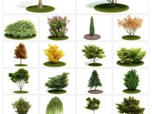 Archmodels Vol 52. 60 Models Of Trees Leaves And Bushes