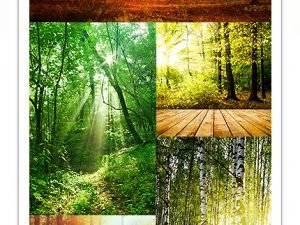 Beautiful Nature Background