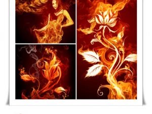 Fire Girl And Flower