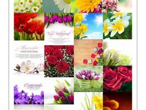 Flowers Backgrounds