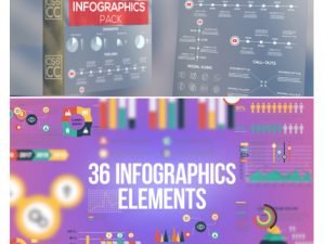 Infographics Elements Pack After Effects