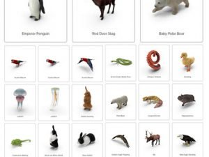 pixelsquid animals collection