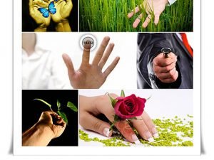 ShutterStock Hand Style