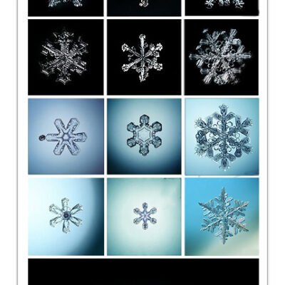 Snowflakes And Ice Crystals